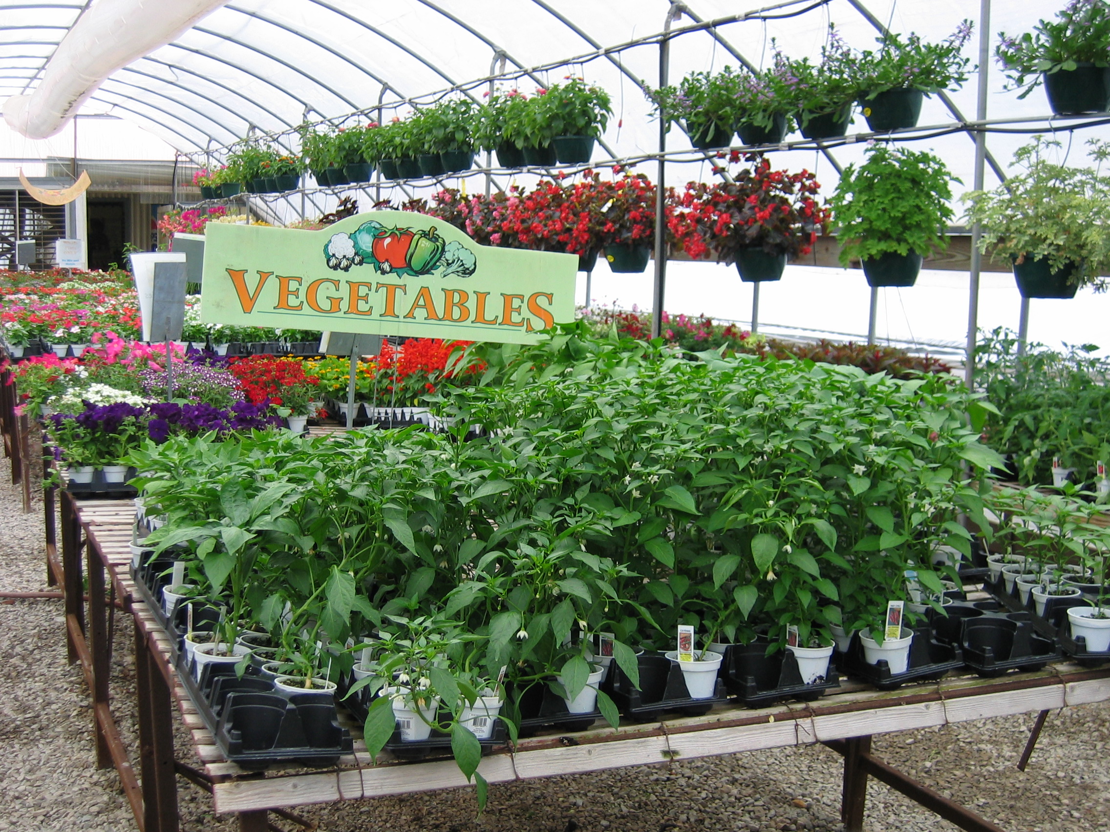 Veggies Herbs Reseda Nursery Veggies Herbs