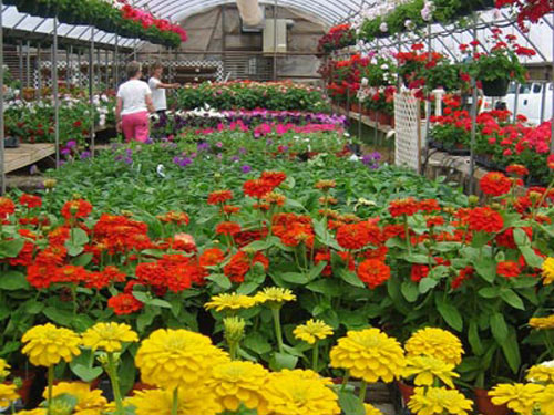 Reseda Nursery And Stone Yard